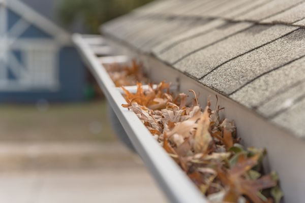 Leaf Barrier Installation in Morganton